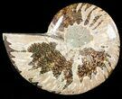 Agatized Ammonite Fossil (Half) #46526-1